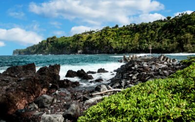 Hawaii Installs a Solar Powered Video Surveillance System to Monitor Remote Locations