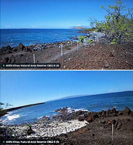 Hawaii State Park Installation
