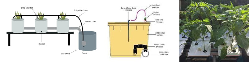 Dutch Bucket hydroponics Dutch Bucket Hydroponics