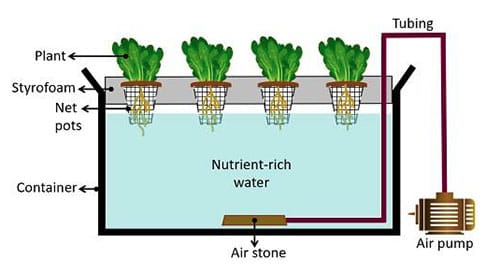 deep-water-culture-hydroponics Deep Water Culture Hydroponics Diagram