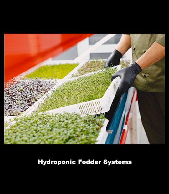 hydroponic-fodder-systems Hydroponic Fodder Systems