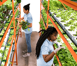 controlled-environment-agriculture Interior of a CEA Vertical Farming Unit