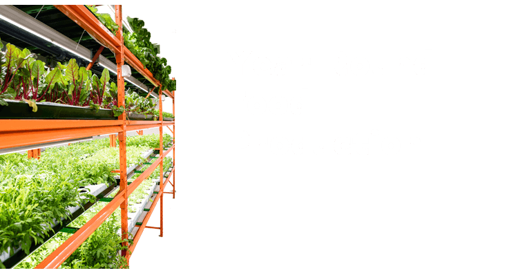 year-round-food-production Year round food production